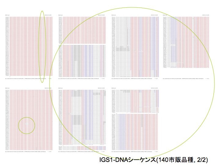 シイタケ様 Amazon.co.jp 売れ筋ランキング: 椎茸用ドリルビット の中で最も
